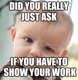 Skeptical Baby Meme | DID YOU REALLY JUST ASK; IF YOU HAVE TO SHOW YOUR WORK | image tagged in memes,skeptical baby | made w/ Imgflip meme maker