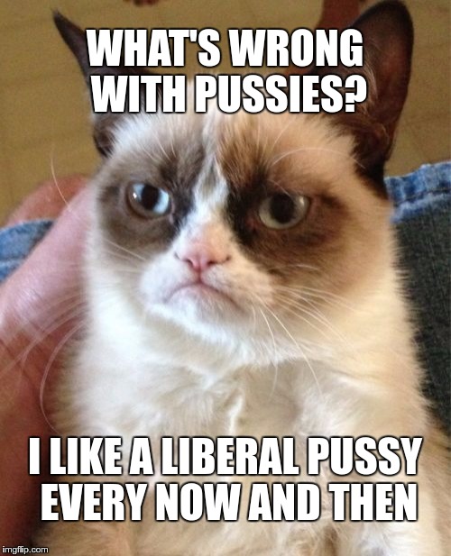 Grumpy Cat Meme | WHAT'S WRONG WITH PUSSIES? I LIKE A LIBERAL PUSSY EVERY NOW AND THEN | image tagged in memes,grumpy cat | made w/ Imgflip meme maker