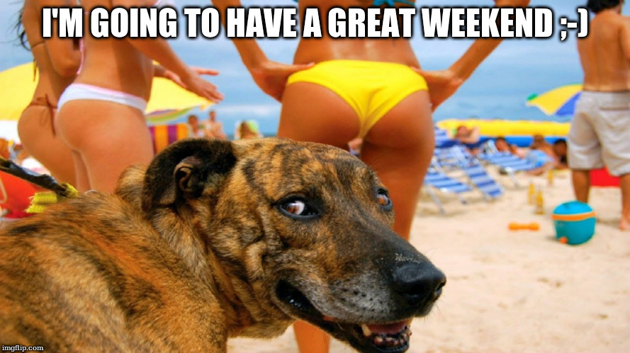 I'M GOING TO HAVE A GREAT WEEKEND ;-) | made w/ Imgflip meme maker