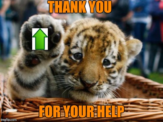 THANK YOU FOR YOUR HELP | made w/ Imgflip meme maker