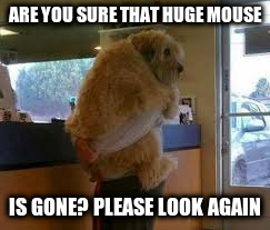 ARE YOU SURE THAT HUGE MOUSE; IS GONE? PLEASE LOOK AGAIN | made w/ Imgflip meme maker