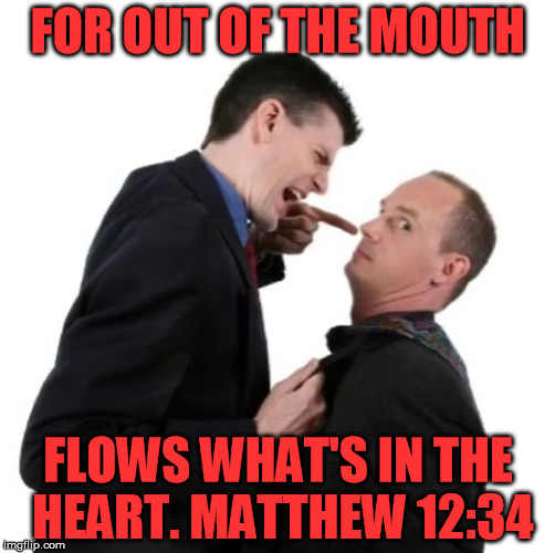 What's in the Heart | FOR OUT OF THE MOUTH; FLOWS WHAT'S IN THE HEART. MATTHEW 12:34 | image tagged in memes,christianmemes,bibleverses,newtestament | made w/ Imgflip meme maker