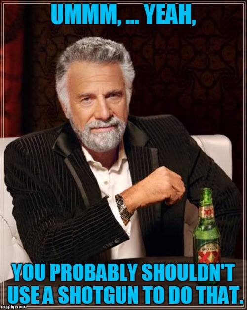 The Most Interesting Man In The World Meme | UMMM, ... YEAH, YOU PROBABLY SHOULDN'T USE A SHOTGUN TO DO THAT. | image tagged in memes,the most interesting man in the world | made w/ Imgflip meme maker