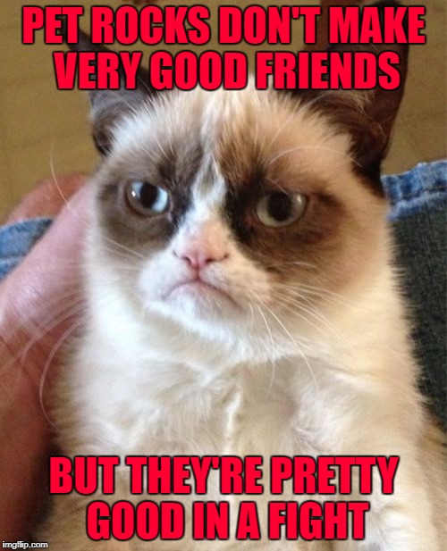My friends and I had some pretty epic rock battles back in the day... | PET ROCKS DON'T MAKE VERY GOOD FRIENDS; BUT THEY'RE PRETTY GOOD IN A FIGHT | image tagged in memes,grumpy cat,pet rocks,rock fights,funny,cats | made w/ Imgflip meme maker