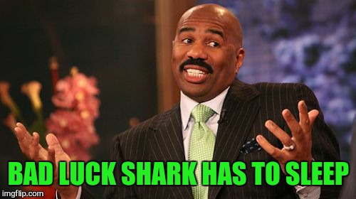 Steve Harvey Meme | BAD LUCK SHARK HAS TO SLEEP | image tagged in memes,steve harvey | made w/ Imgflip meme maker