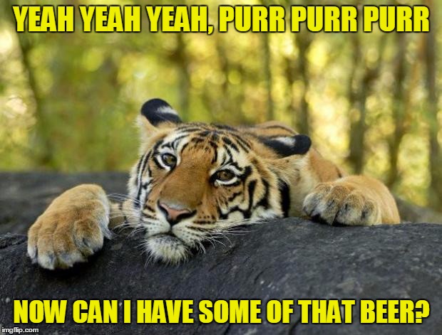 YEAH YEAH YEAH, PURR PURR PURR NOW CAN I HAVE SOME OF THAT BEER? | made w/ Imgflip meme maker