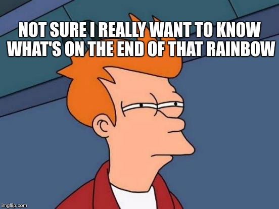 Futurama Fry Meme | NOT SURE I REALLY WANT TO KNOW WHAT'S ON THE END OF THAT RAINBOW | image tagged in memes,futurama fry | made w/ Imgflip meme maker