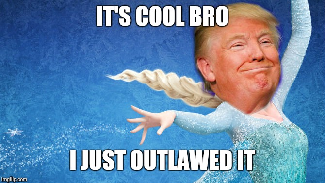 Donald Trump Frozen | IT'S COOL BRO I JUST OUTLAWED IT | image tagged in donald trump frozen | made w/ Imgflip meme maker