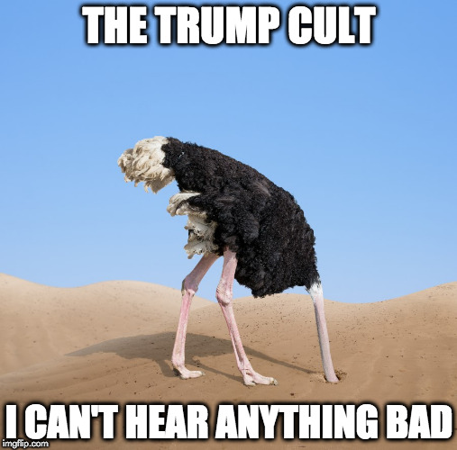 Ostrich | THE TRUMP CULT; I CAN'T HEAR ANYTHING BAD | image tagged in ostrich | made w/ Imgflip meme maker