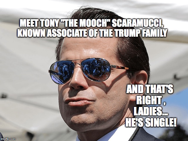Tony The Mooch | MEET TONY "THE MOOCH" SCARAMUCCI, KNOWN ASSOCIATE OF THE TRUMP FAMILY; AND THAT'S RIGHT , LADIES... HE'S SINGLE! | image tagged in the mooch,anthony scaramucci,bobcrespodotcom,the trump family,white house | made w/ Imgflip meme maker