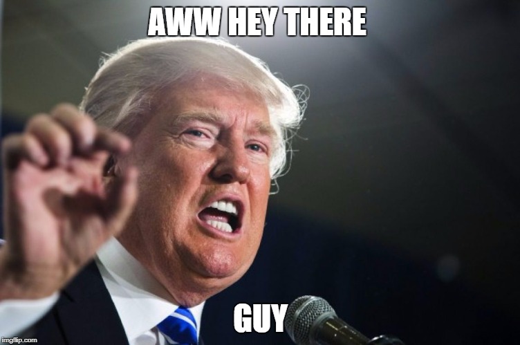 donald trump | AWW HEY THERE; GUY | image tagged in donald trump | made w/ Imgflip meme maker