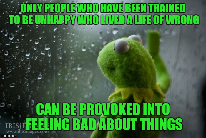 kermit window | ONLY PEOPLE WHO HAVE BEEN TRAINED TO BE UNHAPPY WHO LIVED A LIFE OF WRONG; CAN BE PROVOKED INTO FEELING BAD ABOUT THINGS | image tagged in kermit window | made w/ Imgflip meme maker