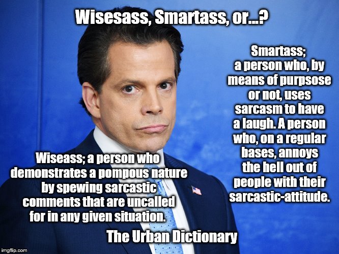 Scaramucci Sad | Wisesass, Smartass, or...? Smartass; a person who, by means of purpsose or not, uses sarcasm to have a laugh. A person who, on a regular bases, annoys the hell out of people with their sarcastic-attitude. Wiseass; a person who demonstrates a pompous nature by spewing sarcastic comments that are uncalled for in any given situation. The Urban Dictionary | image tagged in scaramucci sad | made w/ Imgflip meme maker