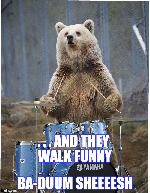 . . . AND THEY WALK FUNNY | image tagged in drummer bear | made w/ Imgflip meme maker