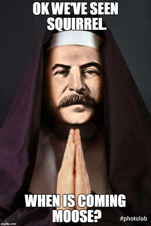 Sister Stalin | OK WE'VE SEEN SQUIRREL. WHEN IS COMING MOOSE? | image tagged in sister stalin | made w/ Imgflip meme maker