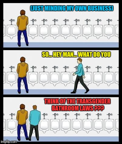 WTF ??? | (JUST MINDING MY OWN BUSINESS); SO... HEY MAN... WHAT DO YOU; THINK OF THE TRANSGENDER BATHROOM LAWS ??? | image tagged in urinal guy,lgbt,transgender bathrooms,pecker checker,homophobia | made w/ Imgflip meme maker