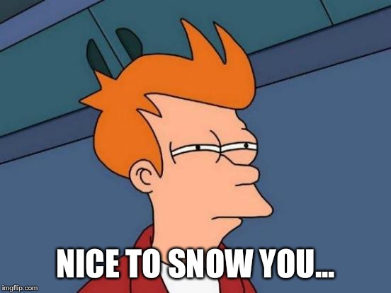 Futurama Fry Meme | NICE TO SNOW YOU... | image tagged in memes,futurama fry | made w/ Imgflip meme maker