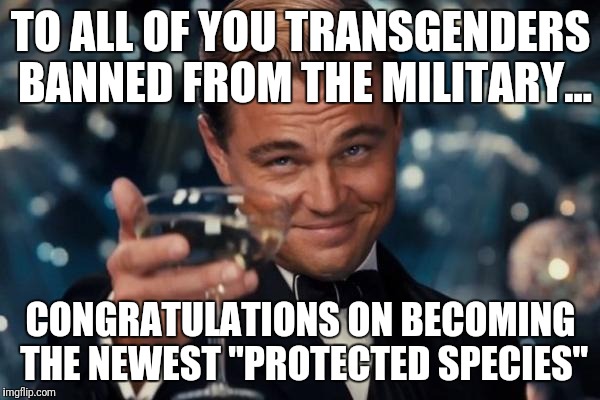Congratulations  | TO ALL OF YOU TRANSGENDERS BANNED FROM THE MILITARY... CONGRATULATIONS ON BECOMING THE NEWEST "PROTECTED SPECIES" | image tagged in memes,leonardo dicaprio cheers,lgbt,military humor,transgender | made w/ Imgflip meme maker