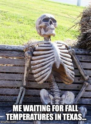 Waiting Skeleton Meme | ME WAITING FOR FALL TEMPERATURES IN TEXAS... | image tagged in memes,waiting skeleton | made w/ Imgflip meme maker