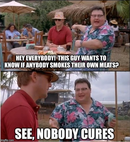 See Nobody Cares Meme | HEY EVERYBODY!  THIS GUY WANTS TO KNOW IF ANYBODY SMOKES THEIR OWN MEATS? SEE, NOBODY CURES | image tagged in memes,see nobody cares | made w/ Imgflip meme maker