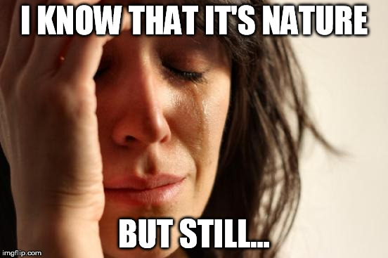 First World Problems Meme | I KNOW THAT IT'S NATURE BUT STILL... | image tagged in memes,first world problems | made w/ Imgflip meme maker