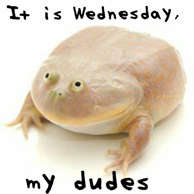 It is Wednesday, my dudes Blank Meme Template
