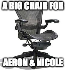 A BIG CHAIR FOR; AERON & NICOLE | image tagged in aeron chair | made w/ Imgflip meme maker