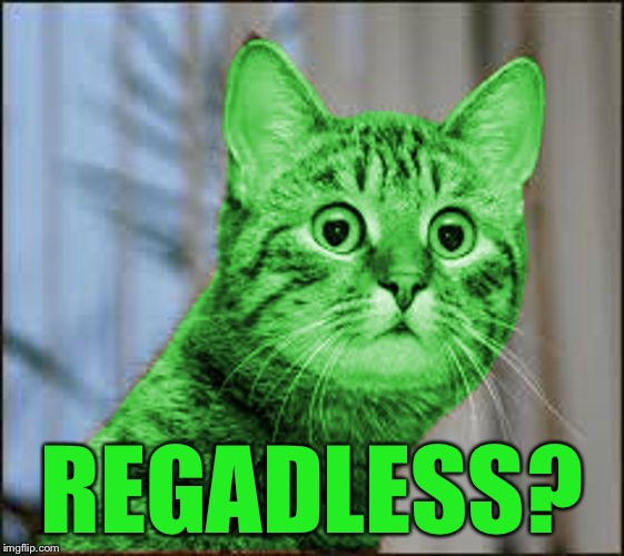RayCat WTF | REGADLESS? | image tagged in raycat wtf | made w/ Imgflip meme maker