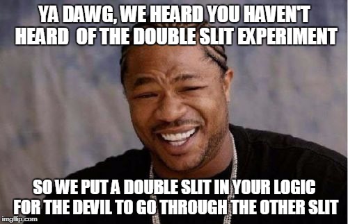 Yo Dawg Heard You Meme | YA DAWG, WE HEARD YOU HAVEN'T HEARD  OF THE DOUBLE SLIT EXPERIMENT SO WE PUT A DOUBLE SLIT IN YOUR LOGIC FOR THE DEVIL TO GO THROUGH THE OTH | image tagged in memes,yo dawg heard you | made w/ Imgflip meme maker