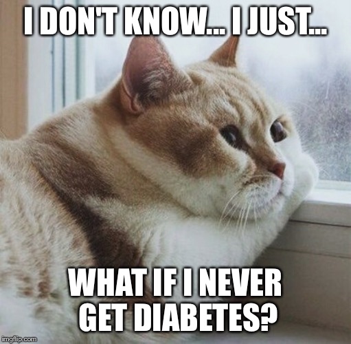 Introspective Fat Cat | I DON'T KNOW... I JUST... WHAT IF I NEVER GET DIABETES? | image tagged in memes,introspective fat cat | made w/ Imgflip meme maker