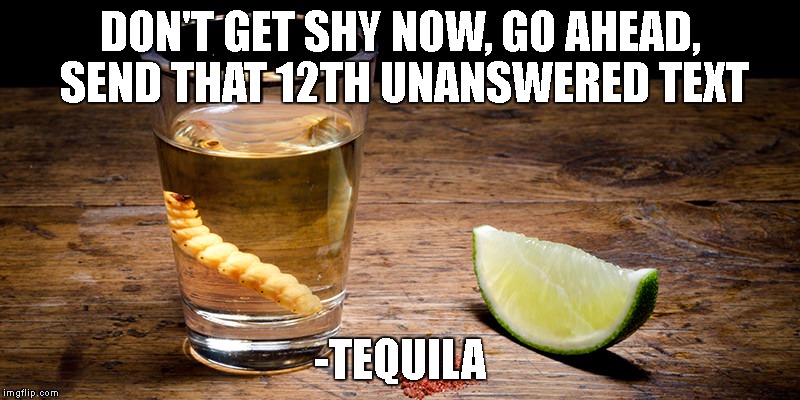 Thats a great idea, this will be the one she answers. | DON'T GET SHY NOW, GO AHEAD, SEND THAT 12TH UNANSWERED TEXT; -TEQUILA | image tagged in tequila drunk good idea | made w/ Imgflip meme maker