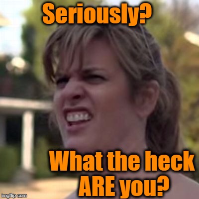 seriously? | Seriously? What the heck ARE you? | image tagged in seriously | made w/ Imgflip meme maker