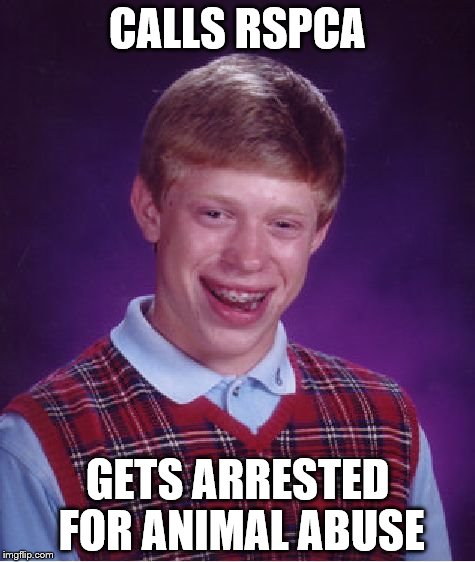 Bad Luck Brian Meme | CALLS RSPCA; GETS ARRESTED FOR ANIMAL ABUSE | image tagged in memes,bad luck brian | made w/ Imgflip meme maker