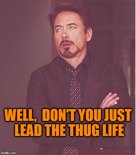 Face You Make Robert Downey Jr Meme | WELL,  DON'T YOU JUST LEAD THE THUG LIFE | image tagged in memes,face you make robert downey jr | made w/ Imgflip meme maker