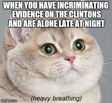 Heavy Breathing Cat | WHEN YOU HAVE INCRIMINATING EVIDENCE ON THE CLINTONS AND ARE ALONE LATE AT NIGHT | image tagged in memes,heavy breathing cat | made w/ Imgflip meme maker