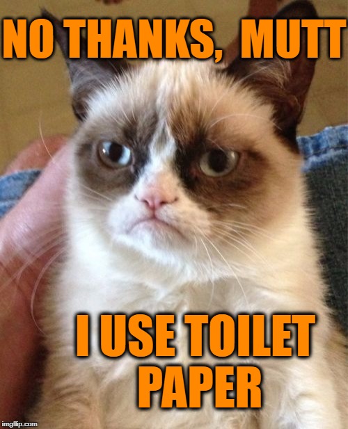 Grumpy Cat Meme | NO THANKS,  MUTT I USE TOILET PAPER | image tagged in memes,grumpy cat | made w/ Imgflip meme maker