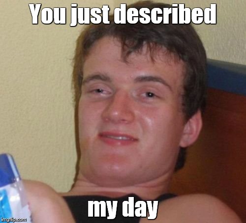 10 Guy Meme | You just described my day | image tagged in memes,10 guy | made w/ Imgflip meme maker