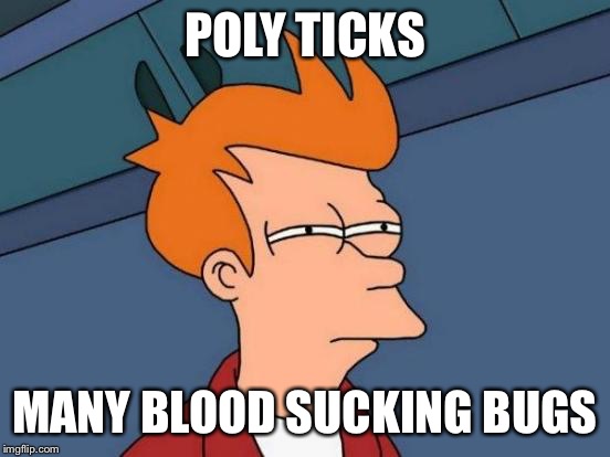 Futurama Fry Meme | POLY TICKS MANY BLOOD SUCKING BUGS | image tagged in memes,futurama fry | made w/ Imgflip meme maker
