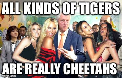 Tigers or cheetahs | ALL KINDS OF TIGERS; ARE REALLY CHEETAHS | image tagged in clinton women before,tiger week,cheaters,cheetah,memes | made w/ Imgflip meme maker