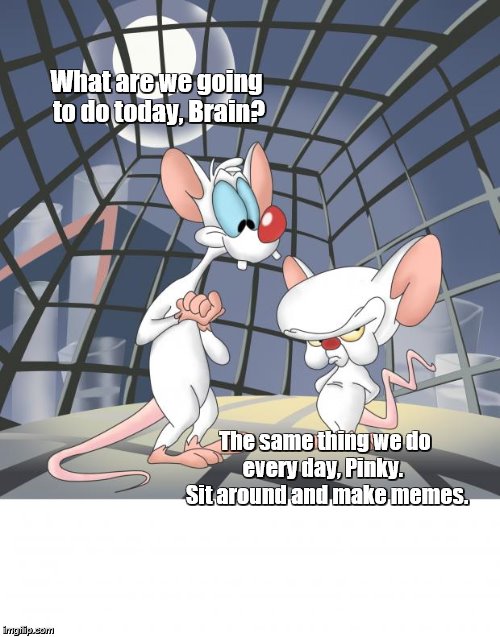 Pinky and the Brain - when trying to take over the world gets too stressful | What are we going to do today, Brain? The same thing we do every day, Pinky.   Sit around and make memes. | image tagged in pinky and the brain | made w/ Imgflip meme maker