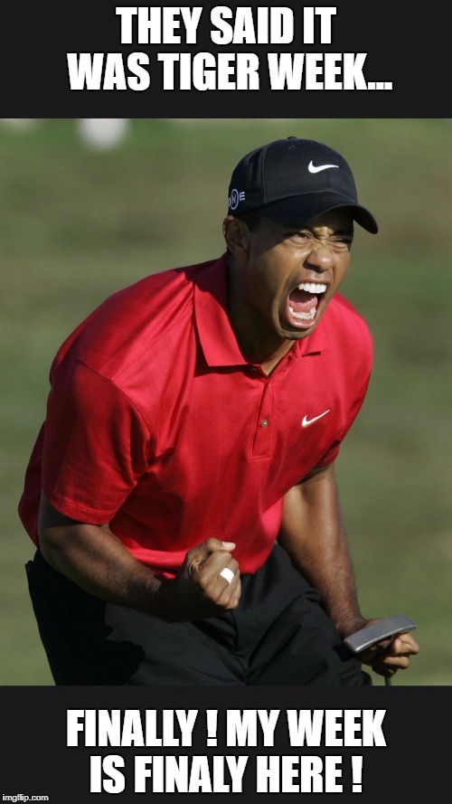 Tiger Woods week.. | THEY SAID IT WAS TIGER WEEK... FINALLY ! MY WEEK IS FINALY HERE ! | image tagged in tiger woods,tiger week | made w/ Imgflip meme maker