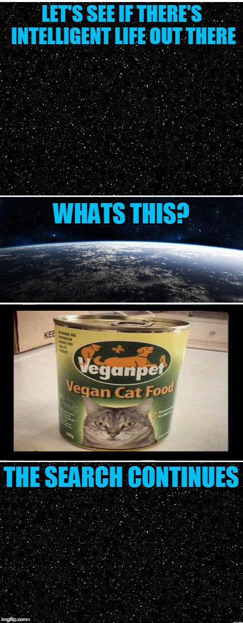 Poor vegan cats | image tagged in the search continues,iwanttobebacon,iwanttobebaconcom | made w/ Imgflip meme maker