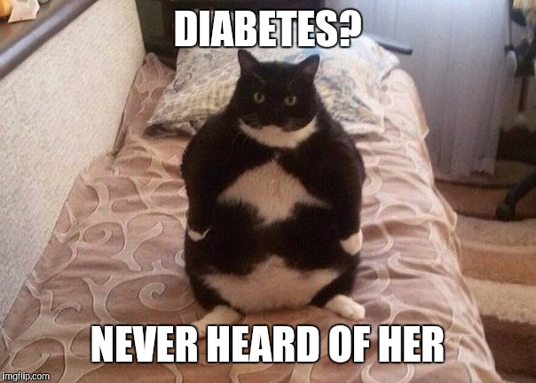 DIABETES? NEVER HEARD OF HER | made w/ Imgflip meme maker