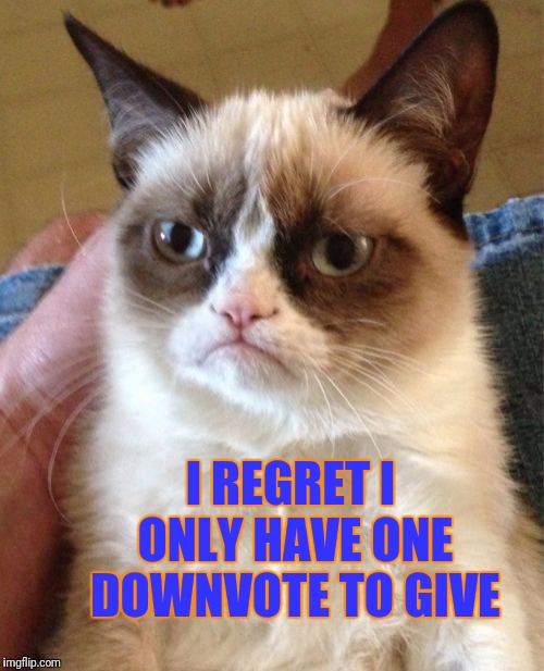 Grumpy Cat Meme | I REGRET I ONLY HAVE ONE DOWNVOTE TO GIVE | image tagged in memes,grumpy cat | made w/ Imgflip meme maker