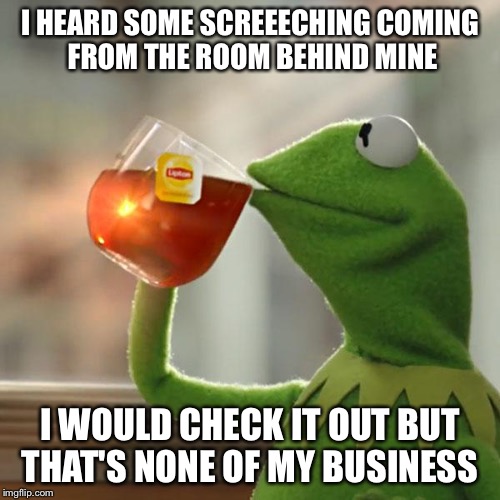 But That's None Of My Business | I HEARD SOME SCREEECHING COMING FROM THE ROOM BEHIND MINE; I WOULD CHECK IT OUT BUT THAT'S NONE OF MY BUSINESS | image tagged in memes,but thats none of my business,kermit the frog | made w/ Imgflip meme maker