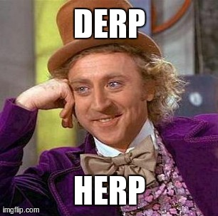 Creepy Condescending Wonka Meme | DERP HERP | image tagged in memes,creepy condescending wonka | made w/ Imgflip meme maker