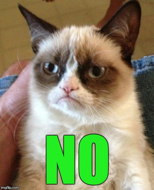Grumpy Cat Meme | NO | image tagged in memes,grumpy cat | made w/ Imgflip meme maker