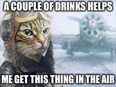 A COUPLE OF DRINKS HELPS; ME GET THIS THING IN THE AIR | image tagged in cat pilot | made w/ Imgflip meme maker