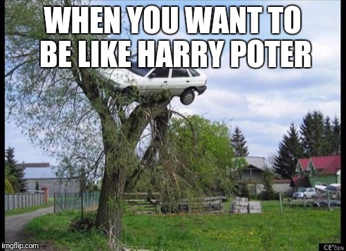 Secure Parking Meme | WHEN YOU WANT TO BE LIKE HARRY POTER | image tagged in memes,secure parking | made w/ Imgflip meme maker