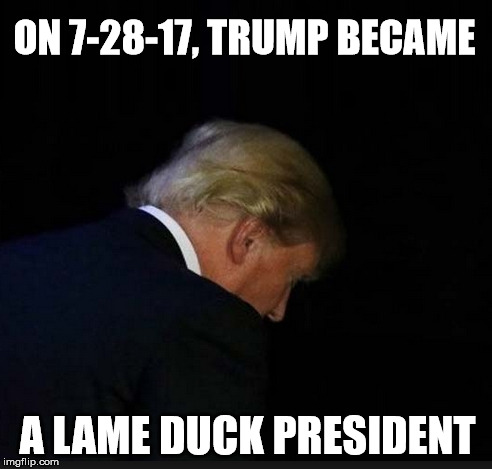 lame duck | ON 7-28-17, TRUMP BECAME; A LAME DUCK PRESIDENT | image tagged in trump,lame duck | made w/ Imgflip meme maker